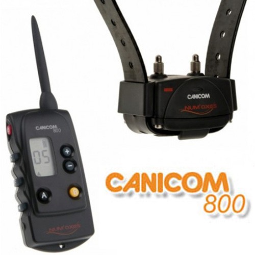 Num'axes Canicom 800