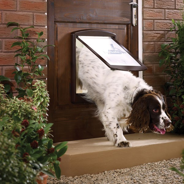 Dla dużego psa - brązowe drzwi Original od PetSafe