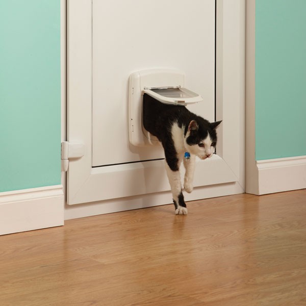Automatyczne drzwi dla kota lub małego psa na podczerwień