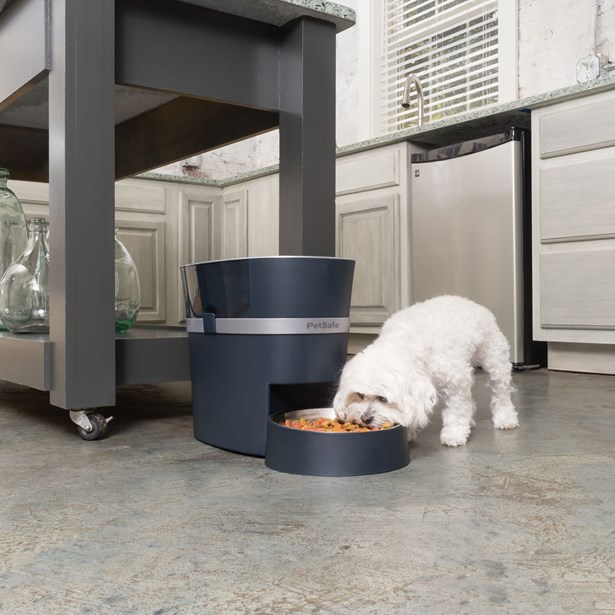 PetSafe Smart Feed