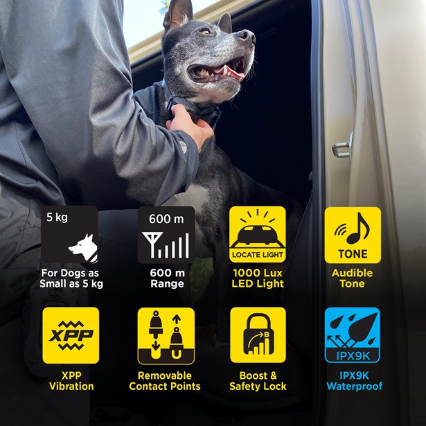 Obroża elektryczna dla 2 psów Dogtra 642X NOWOŚĆ