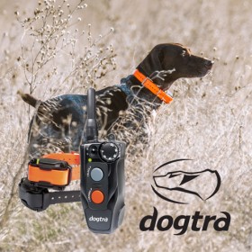 Dogtra 612C 2P