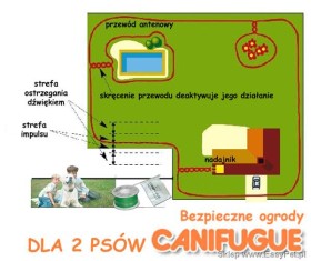 Num'axes Canifugue OLD 2 psy