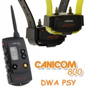 Num'axes Canicom 800 2P