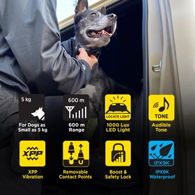 Obroża elektryczna dla 2 psów Dogtra 642X NOWOŚĆ